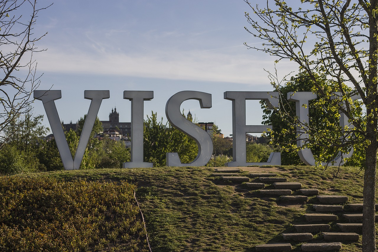 Freelancer de Marketing Digital em Viseu